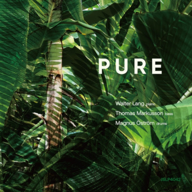 LANG, WALTER | PURE | VINYL RECORD (LP)