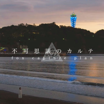 FOX CAPTURE PLAN | FUKASHIGI NO KARTE FEAT. CHIHIRO SINGS / INSTRUMENTAL | 7IN VINYL