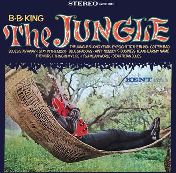 THIS IS A BLESSING | VINYL RECORD (LP)