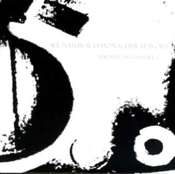 TURNING INTO SMALL | VINYL RECORD (LP)