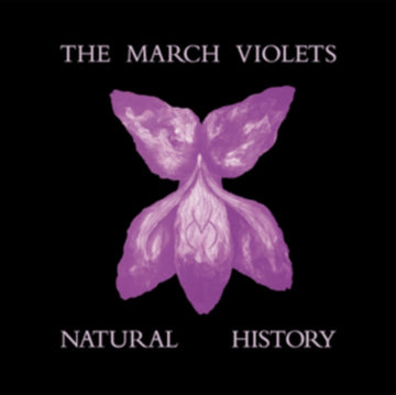 NATURAL HISTORY (VIOLET VINYL) | VINYL RECORD (LP)