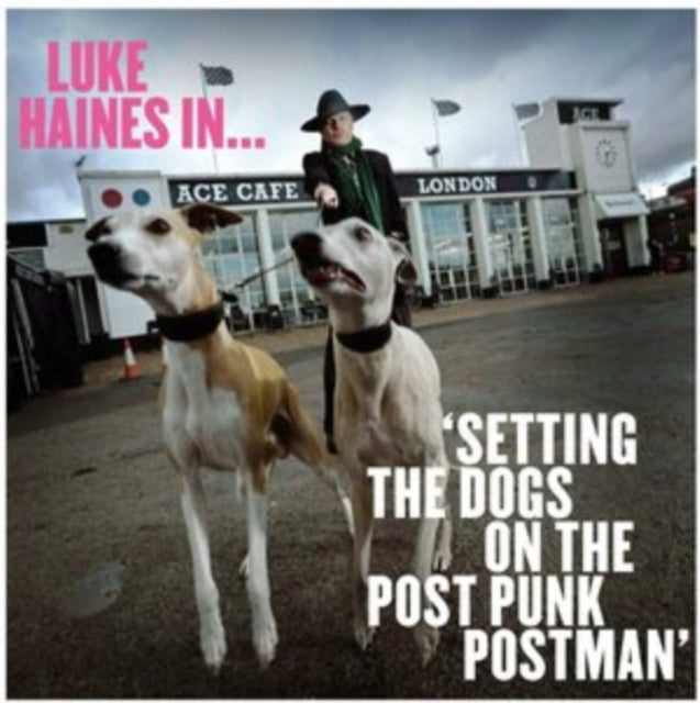 HAINES, LUKE | LUKE HAINES IN...SETTING THE DOGS ON THE POST PUNK POSTMAN (LIMITED EDITION) | VINYL RECORD (LP)