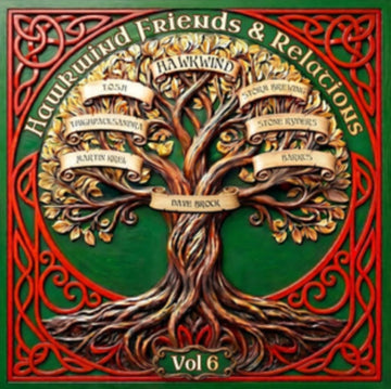 FRIENDS & RELATIONS (2LP) | VINYL RECORD (LP)