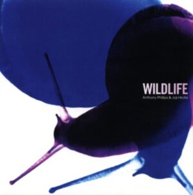 ANTHONY, PHILLIPS & JOJI HIROTA | WILDLIFE | CD