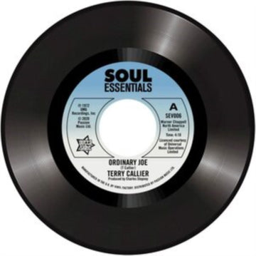 ORDINARY JOE | VINYL RECORD (LP)