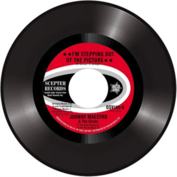 IM STEPPING OUT OF THE PICTURE AFRAID OF | VINYL RECORD (LP)
