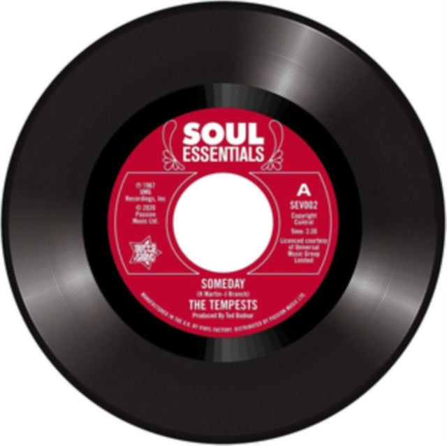 UNKNOWN | SOMEDAY I DONT WANT TO LOSE HER | VINYL RECORD (LP)