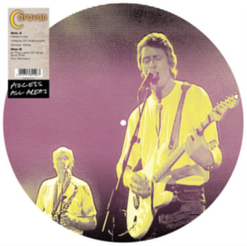 ACCESS ALL AREAS (LTD PICDISC) | VINYL RECORD (LP)