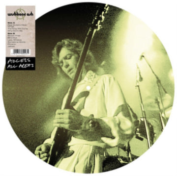 ACCESS ALL AREAS | VINYL RECORD (LP)