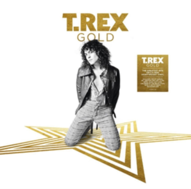 T. REX | GOLD | VINYL RECORD (LP)
