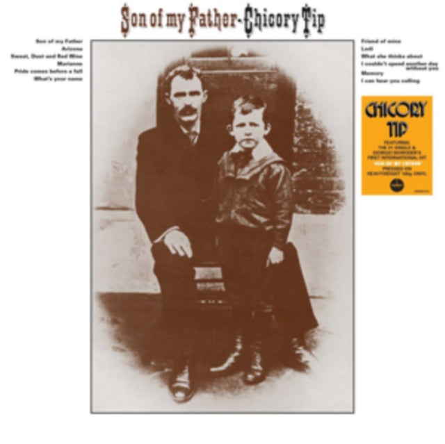 CHICORY TIP | SON OF THE FATHER | VINYL RECORD (LP)