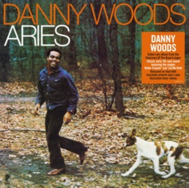 WOODS, DANNY | AIRIES (140G) | VINYL RECORD (LP)
