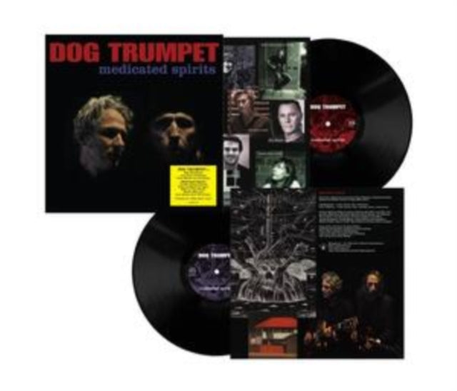 DOG TRUMPET | MEDICATED SPIRITS (2LP/180G) | VINYL RECORD (LP)