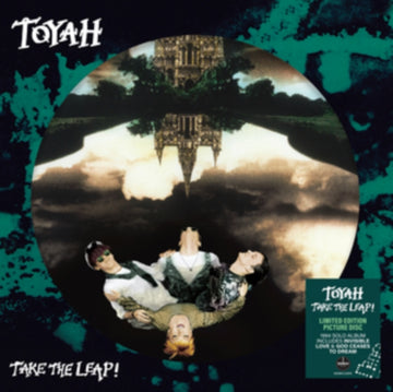 TAKE THE LEAP! (PICTURE DISC) | VINYL RECORD (LP)