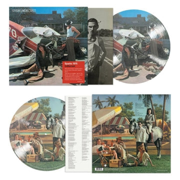 INDISCREET (50TH ANNIVERSARY PICTURE DISC) | VINYL RECORD (LP)