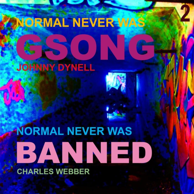 UNKNOWN | NORMAL NEVER WAS II | VINYL RECORD (LP)