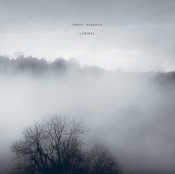 LIMINAL | VINYL RECORD (LP)