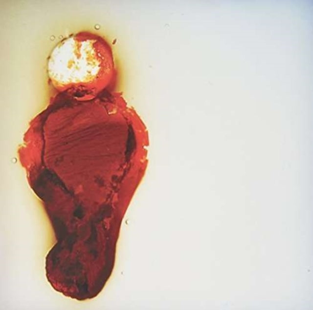 STUBBORN HEART | BETTER THAN THIS | 12IN VINYL