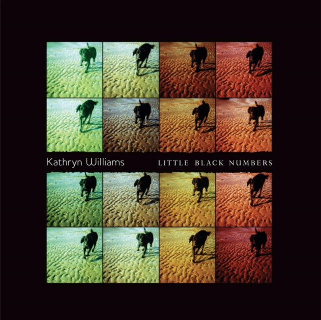 WILLIAMS, KATHRYN | LITTLE BLACK NUMBERS | VINYL RECORD (LP)