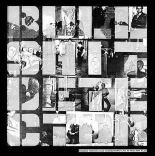 VARIOUS ARTISTS | BULLSHIT DETECTOR | VINYL RECORD (LP)