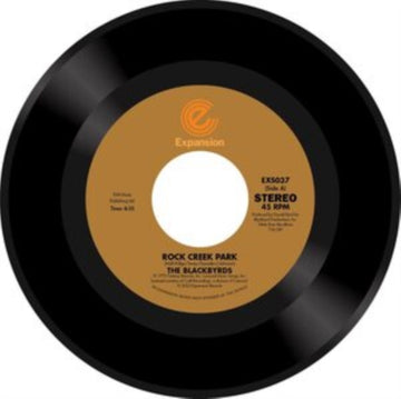 ROCK CREEK PARK/GUT LEVEL | VINYL RECORD (LP)