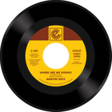 WHERE ARE W GOING? / WOMAN OF THE WORLD | VINYL RECORD (LP)