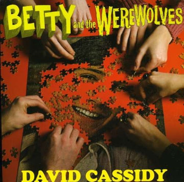 DAVID CASSIDY / PLASTIC | 7IN VINYL