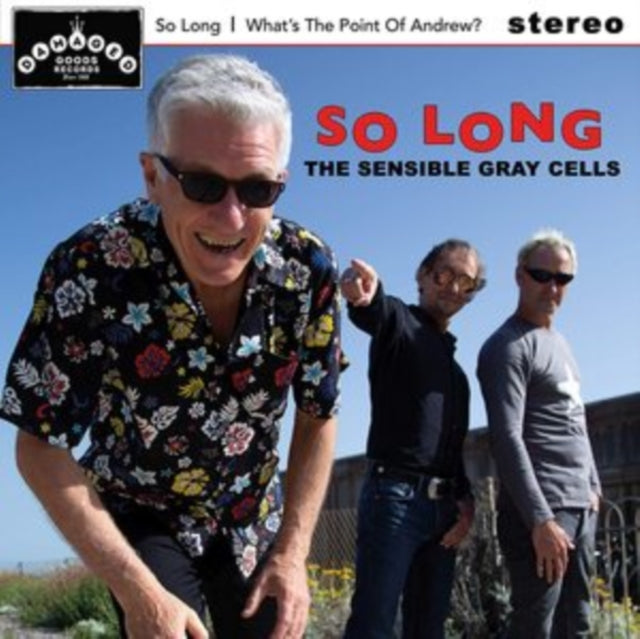 SENSIBLE GRAY CELLS | SO LONG / WHAT'S THE POINT OF ANDREW? | VINYL RECORD (LP)
