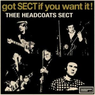 GOT SECT IF YOU WANT IT! EP | 7IN VINYL