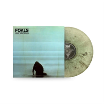 WHAT WENT DOWN (10TH ANNIVERSARY/COLOR VINYL) | VINYL RECORD (LP)