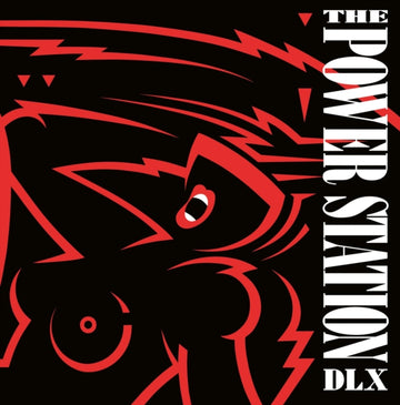 POWER STATION (40TH ANNIVERSARY) (2LP) | VINYL RECORD (LP)