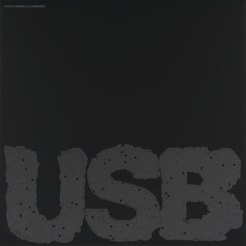USB002 (2LP) | VINYL RECORD (LP)