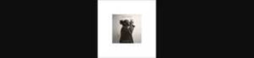 FOUR SPIRITS | VINYL RECORD (LP)