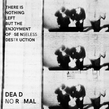DEAD NORMAL | THERE IS NOTHING LEFT BUT THE ENJOYMENT OF SENSELESS DESTRUCTION | VINYL RECORD (LP)