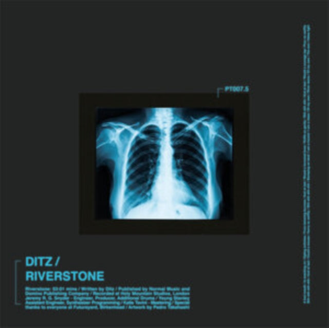 DITZ | RIVERSTONE | 7IN VINYL