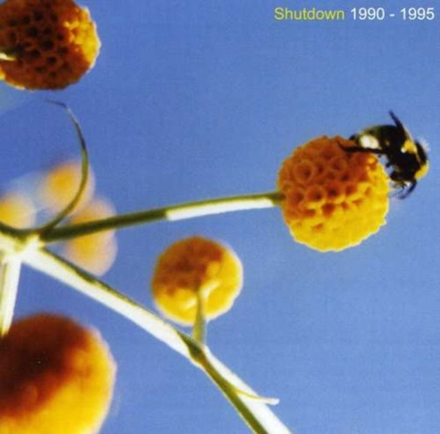 SHUTDOWN 1990 - 1995 (CD)