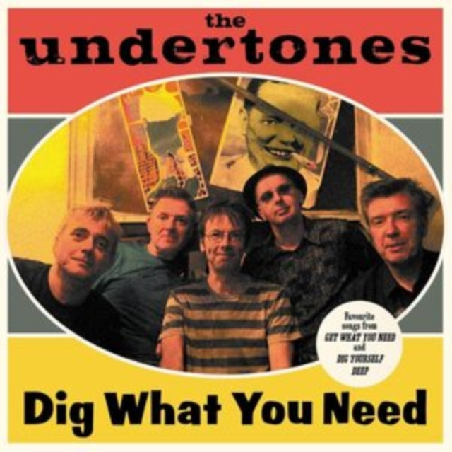 UNDERTONES | DIG WHAT YOU NEED | VINYL RECORD (LP)