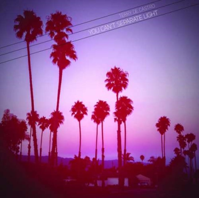 DE CASTRO, TERRY | YOU CAN'T SEPARATE LIGHT | 10IN VINYL