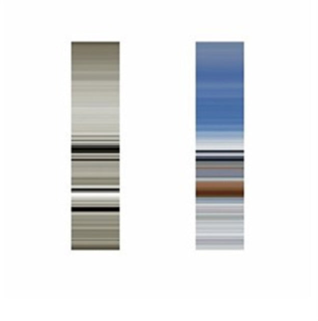 FOUND | TERRA NOVA | VINYL RECORD (LP)