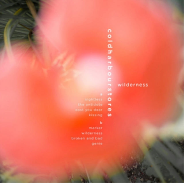 COLDHARBOURSTORES | WILDERNESS | VINYL RECORD (LP)