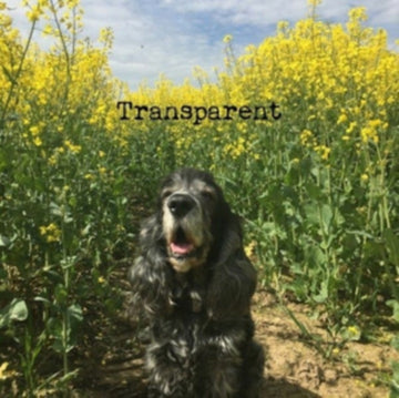 TRANSPARENT (IMPORT) | 12IN VINYL