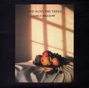 VIRUS MEADOW (2LP) | VINYL RECORD (LP)