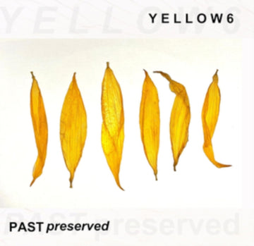 PAST PRESERVED | VINYL RECORD (LP)