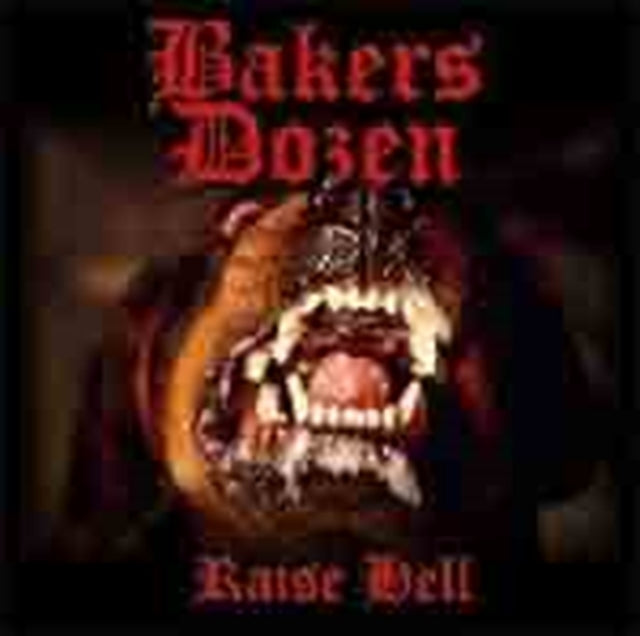 BAKERS DOZEN | RAISE HELL | 7IN VINYL