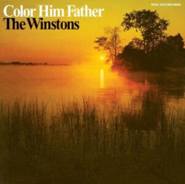 WINSTONS | COLOR HIM FATHER | VINYL RECORD (LP)