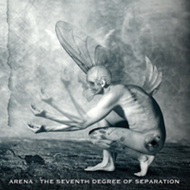 ARENA | SEVENTH DEGREE OF SEPARAT SEPARATION | CD