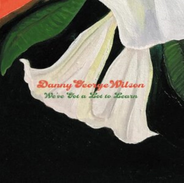 WILSON, DANNY GEORGE | WE'VE GOT A LOT TO LEARN | 7IN VINYL