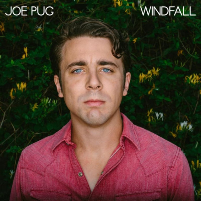 PUG, JOE | WINDFALL (DL CARD) | VINYL RECORD (LP)