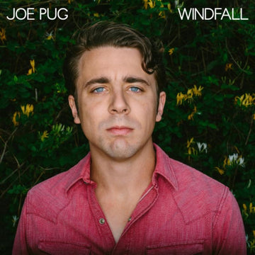 PUG, JOE | WINDFALL (DL CARD) | VINYL RECORD (LP)