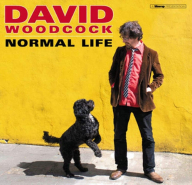 WOODCOCK, DAVID | NORMAL LIFE (180G/DL CARD) | VINYL RECORD (LP)